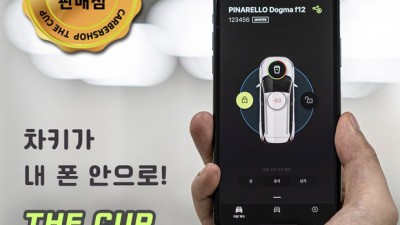 자동차 더컵? 나도 써봤지! 득템 꿀팁 대방출 ✨