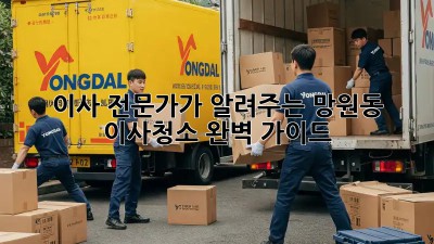 이사 전문가가 알려주는 망원동 이사청소 완벽 가이드