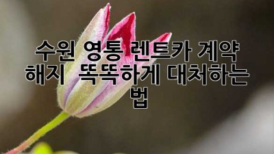 수원 영통 렌트카 계약 해지? 🤔 똑똑하게 대처하는 법!